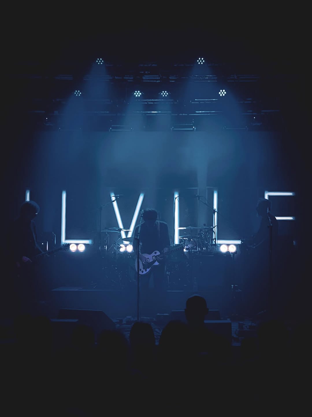 Marlene Kuntz · Il Vile tour