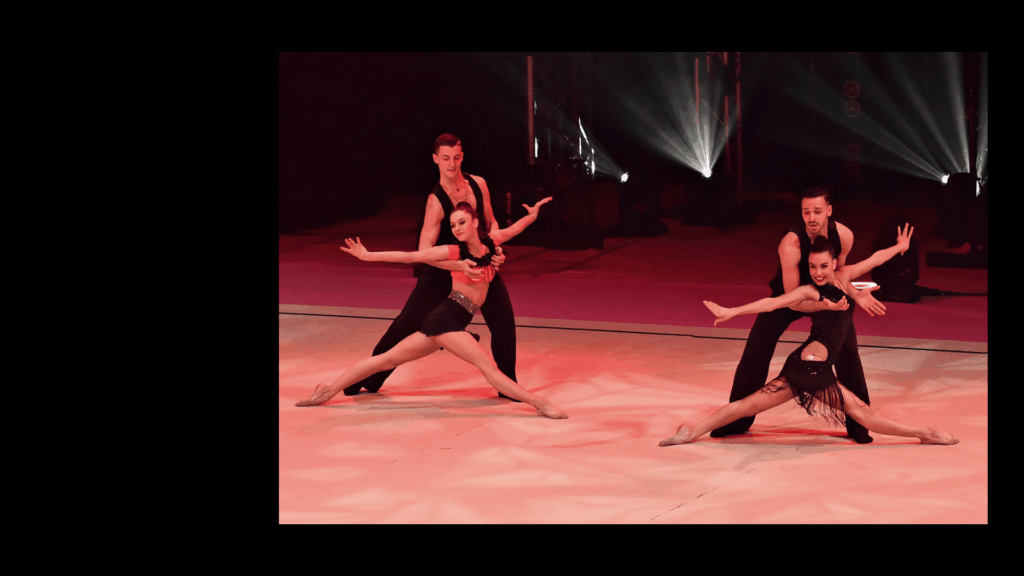 Golden Butterfly Gala, Desio