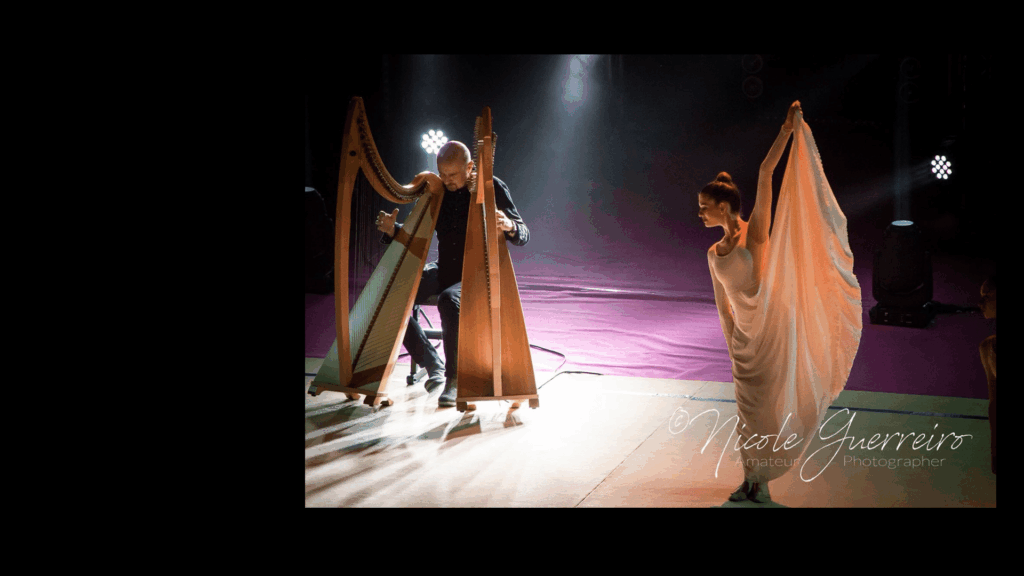 Golden Butterfly Gala, Desio