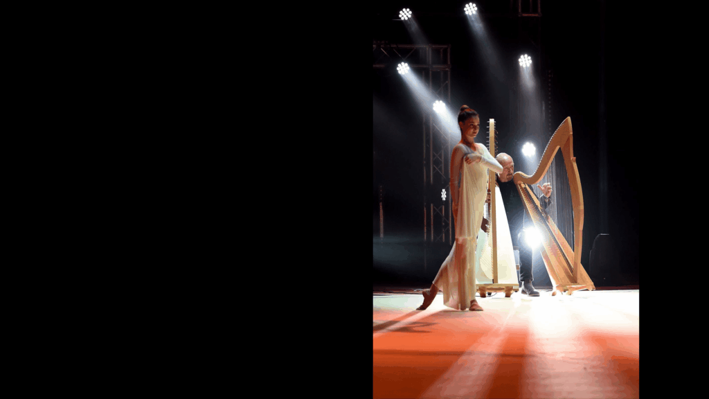 Golden Butterfly Gala, Desio